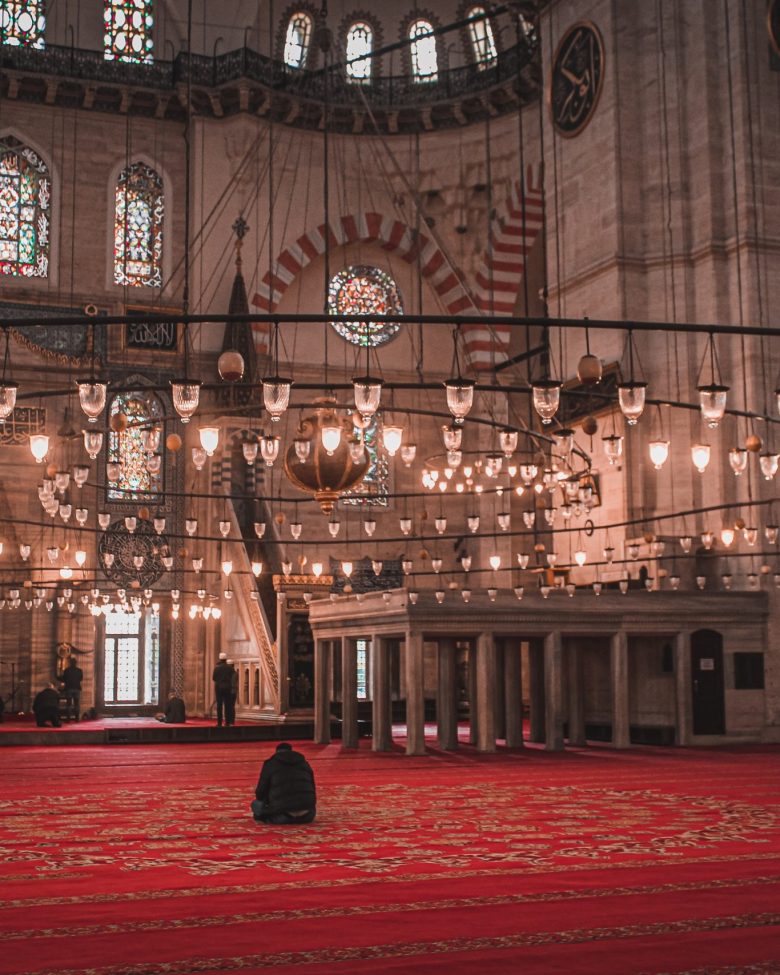 damla-ozkan-iYvdyteYZ1M-unsplash